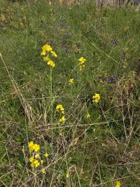 7-3 地域再発見ウオーク７