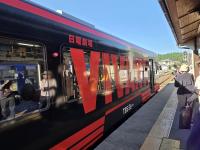 明知鉄道（キノコ列車)11