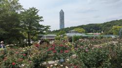 R7　地域再発見ウオーク（東山)11