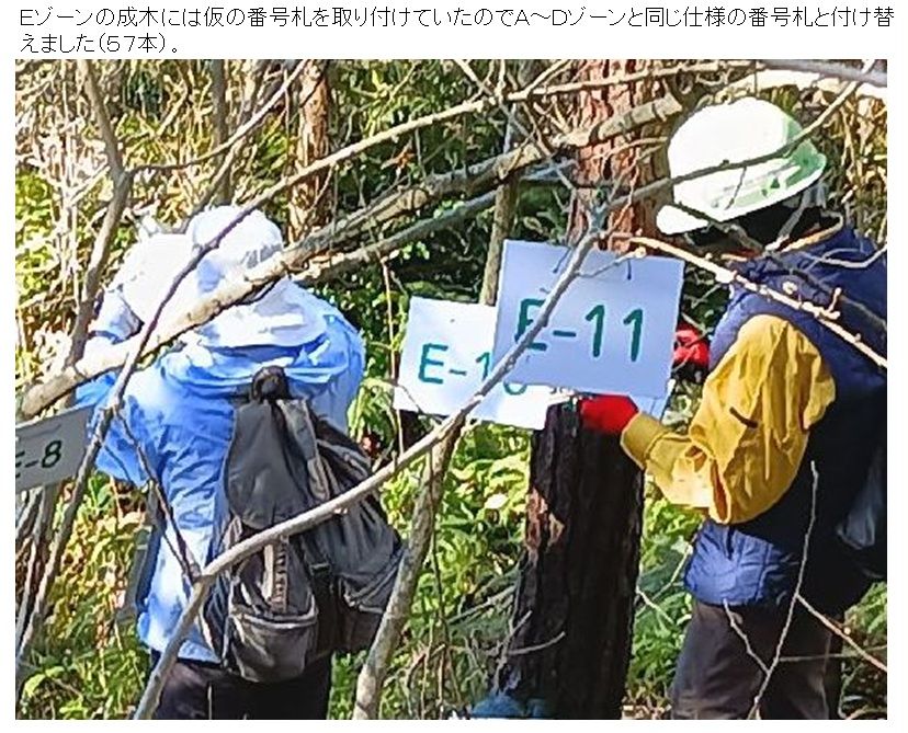 R07_1204-1209_シデコブシ_02