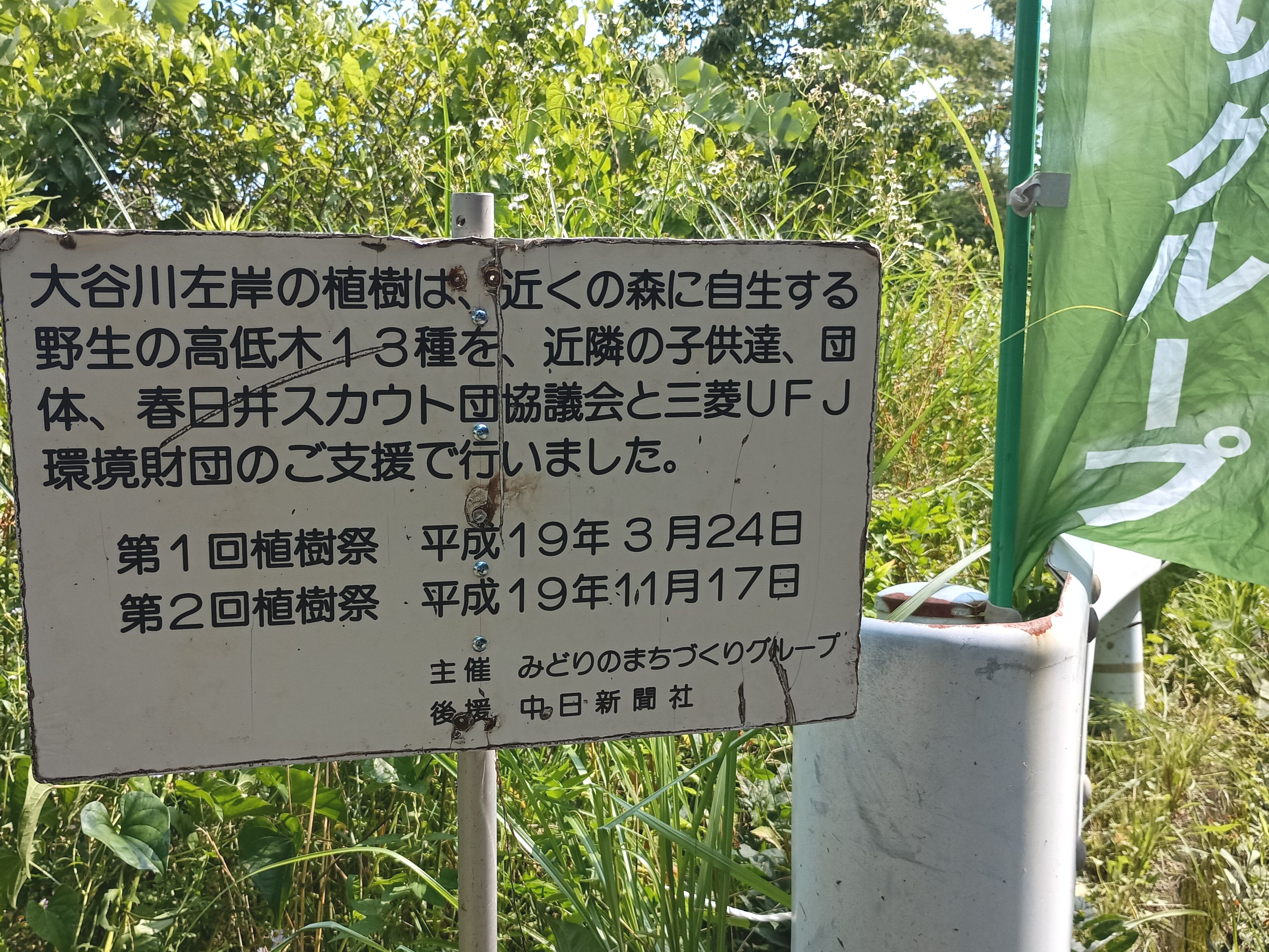 R07_0708_大谷川源流左岸_02