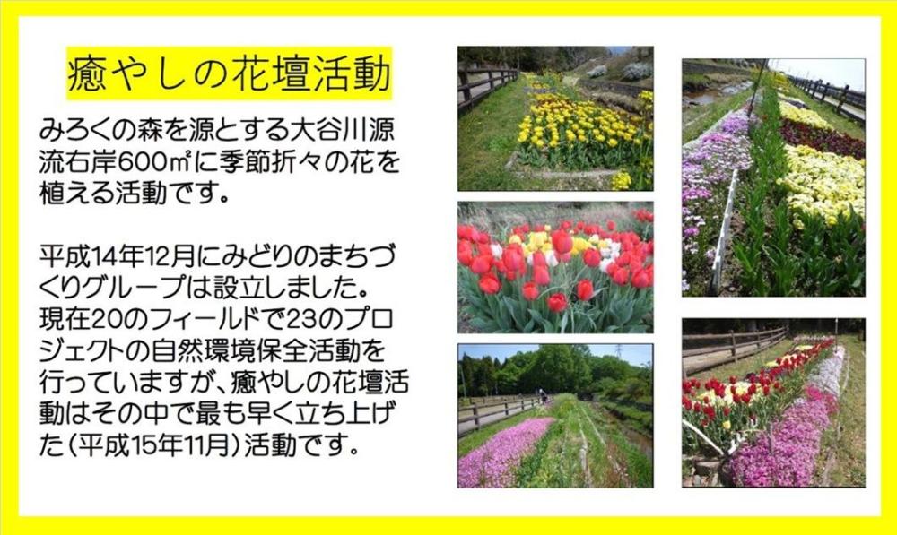 参加型体験事業-4-2