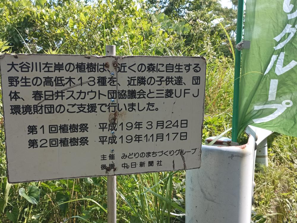 R07_0708_大谷川源流左岸_02
