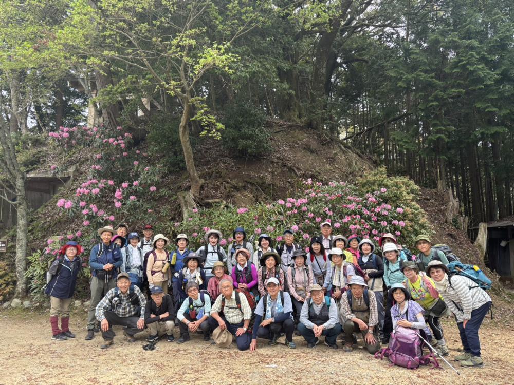 S__6586373吉野山