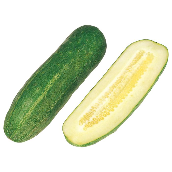 11900011_00
