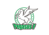 pegasus